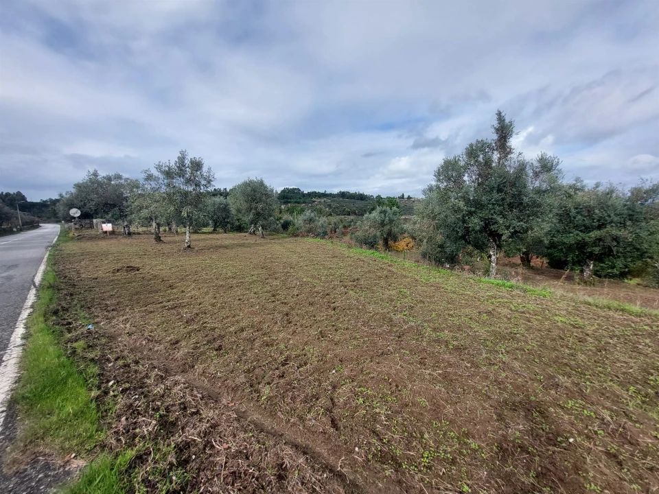 Terreno Agricola ou Rústico para Venda em Vila Nova de Tazem Foto 11
