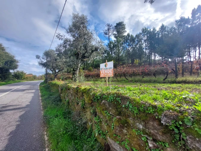 Terreno Agricola ou Rústico para Venda em Vila Nova de Tazem Foto 9