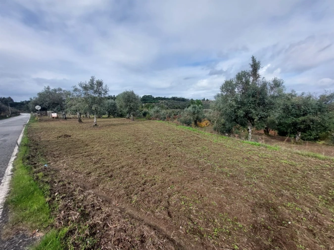 Terreno Agricola ou Rústico para Venda em Vila Nova de Tazem Foto 11