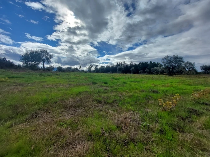 Terreno Agricola ou Rústico para Venda em Vila Nova de Tazem Foto 7