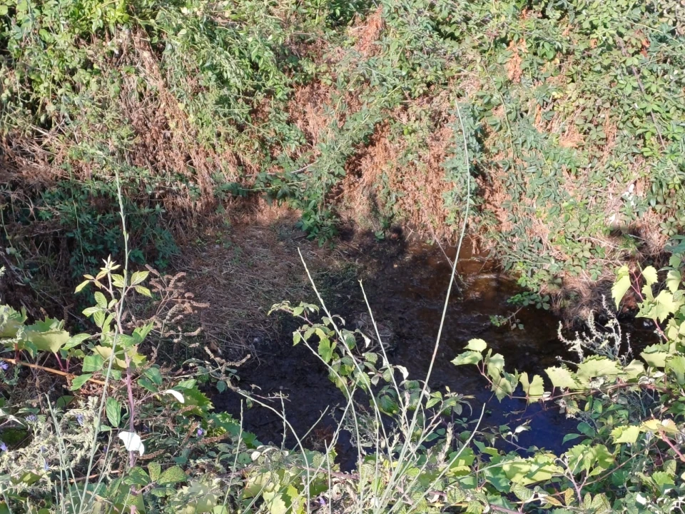 Quinta T0 para Venda em Linhares Foto 4