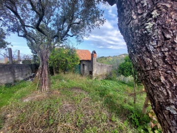 Quinta T2 para Venda em Seia, São Romão e Lapa dos Dinheiros