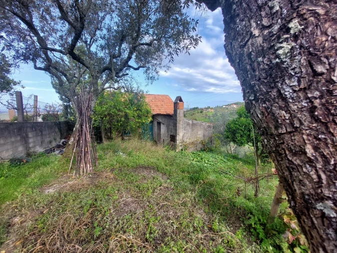 Quinta T2 para Venda em Seia, São Romão e Lapa dos Dinheiros Foto 11