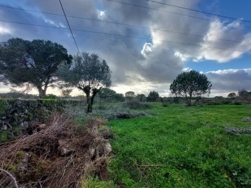 Terreno para Venda em Paranhos
