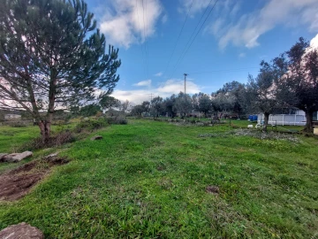 Terreno para Venda em Paranhos