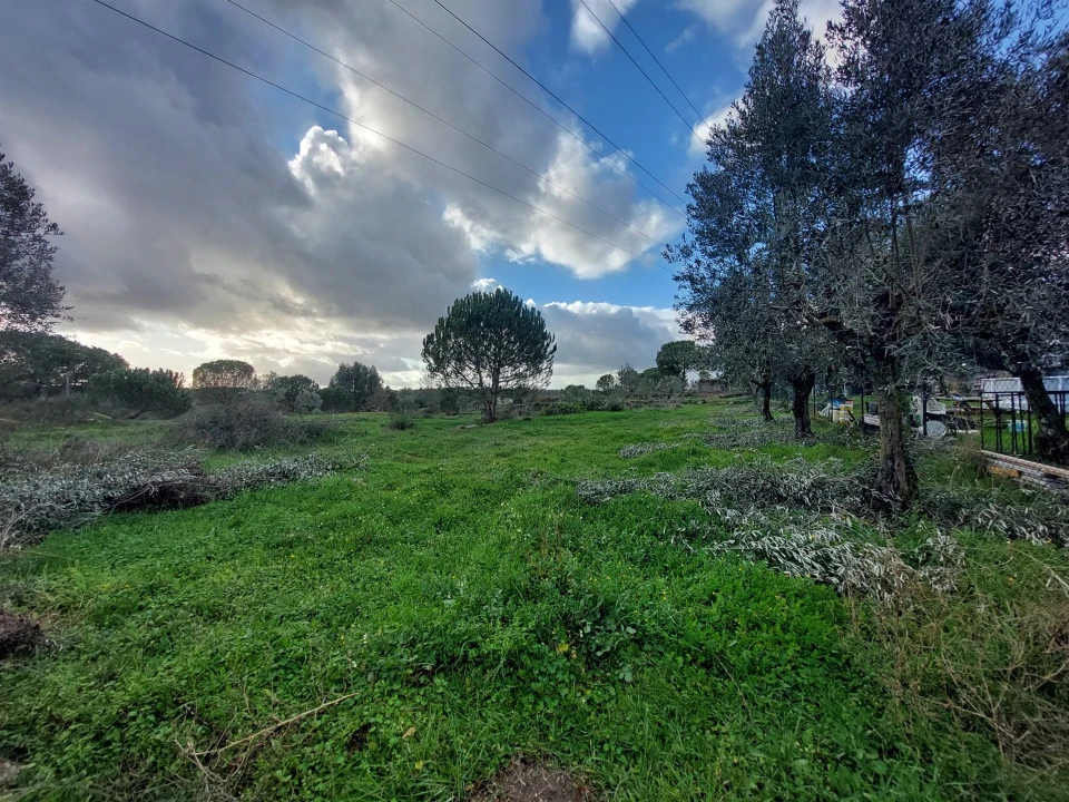 Terreno para Venda em Paranhos Foto 3