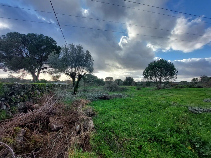 Terreno para Venda em Paranhos Foto 4