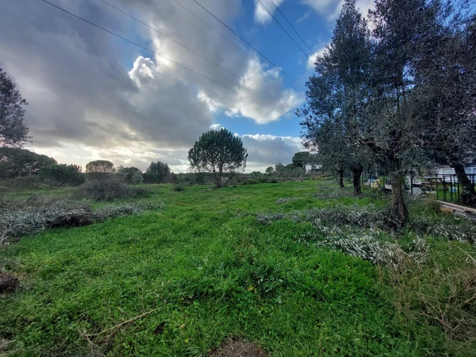 Terreno para Venda em Paranhos Foto 3