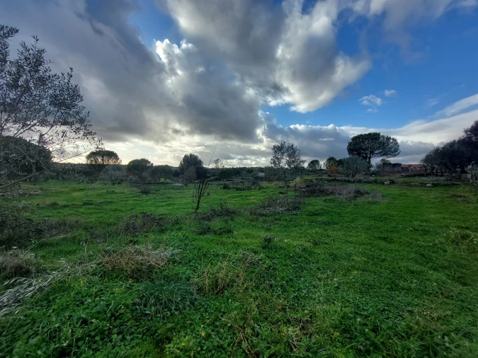 Terreno para Venda em Paranhos Foto 2