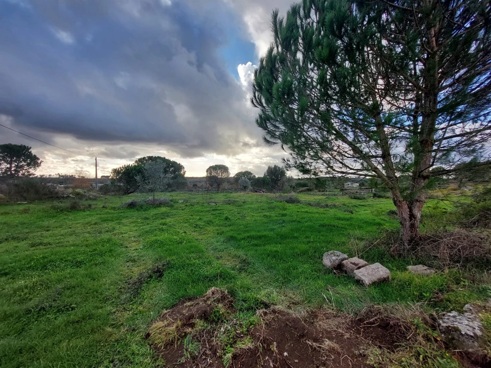 Terreno para Venda em Paranhos Foto 1