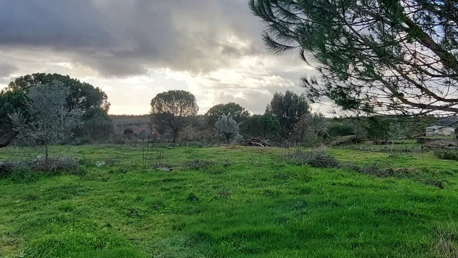 Terreno para Venda em Paranhos