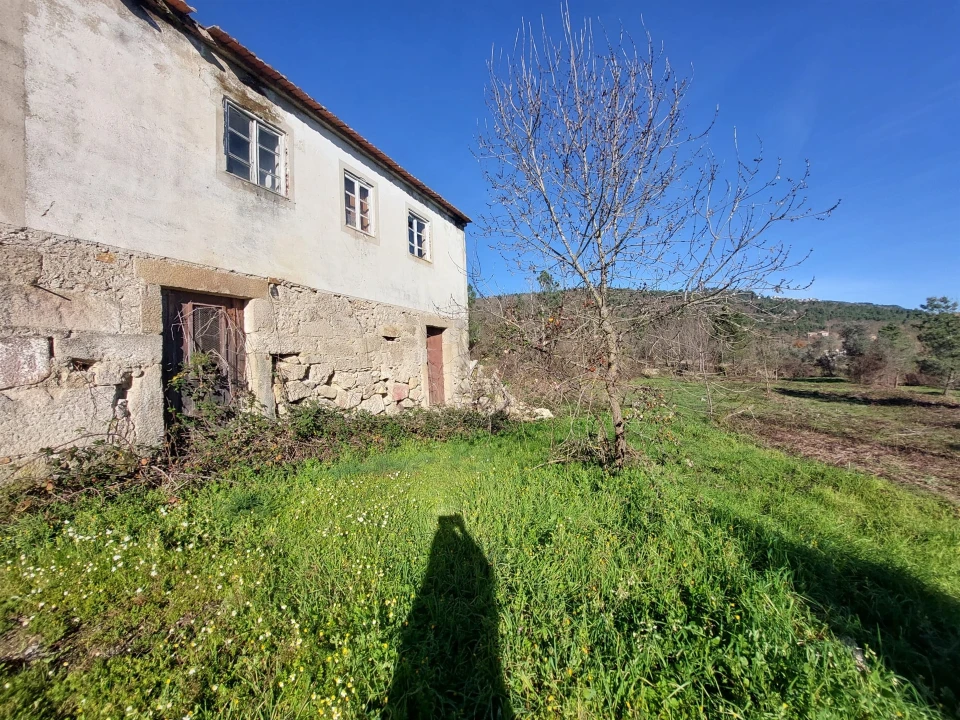 Quinta T0 para Venda em Fornos de Algodres Foto 5