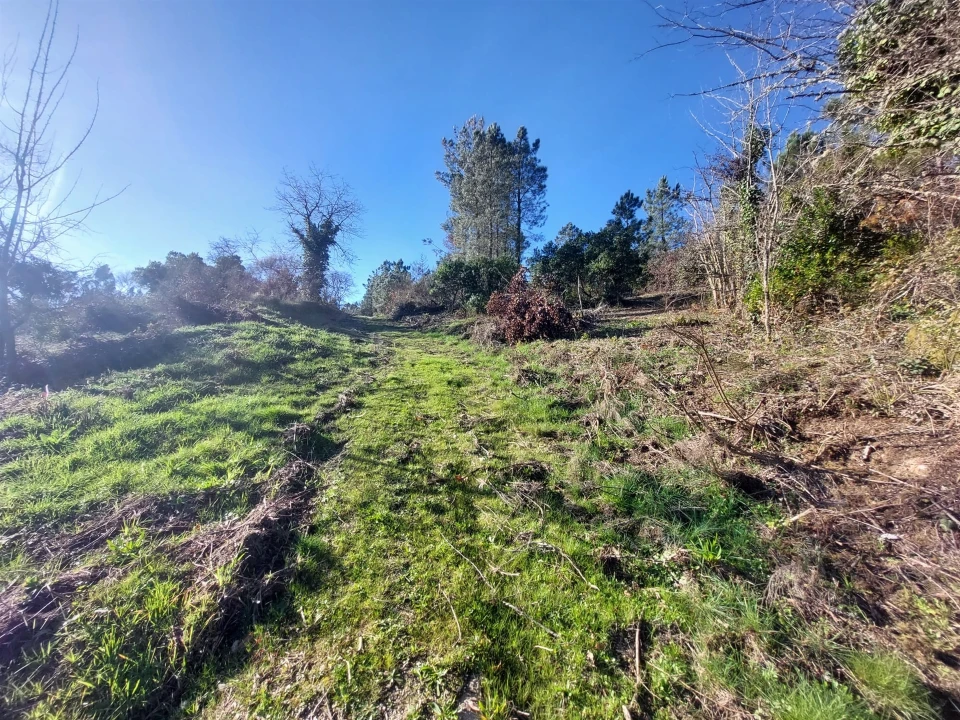 Quinta T0 para Venda em Fornos de Algodres Foto 9