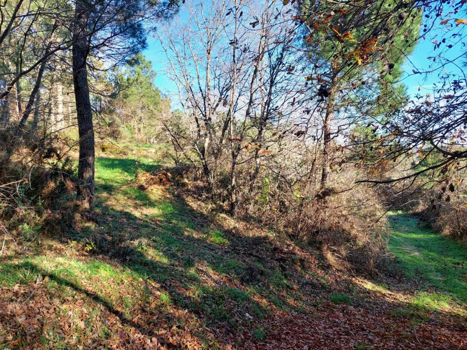 Quinta T0 para Venda em Fornos de Algodres Foto 10