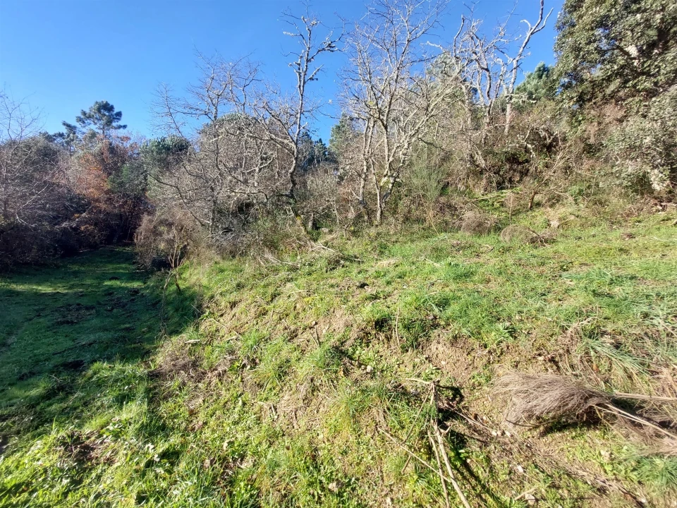 Quinta T0 para Venda em Fornos de Algodres Foto 8