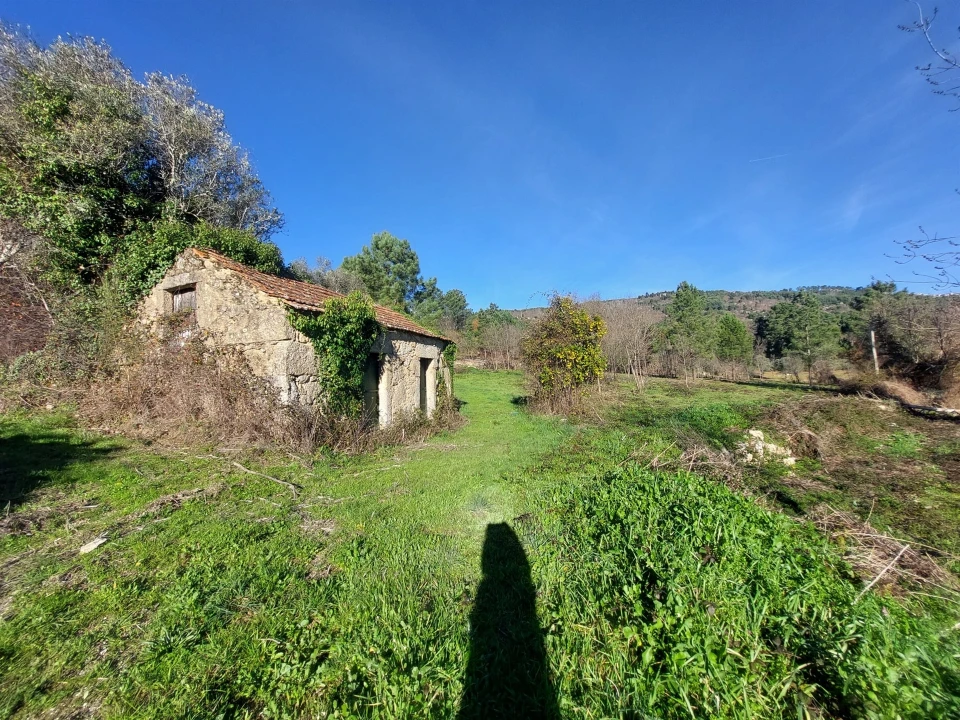 Quinta T0 para Venda em Fornos de Algodres Foto 6