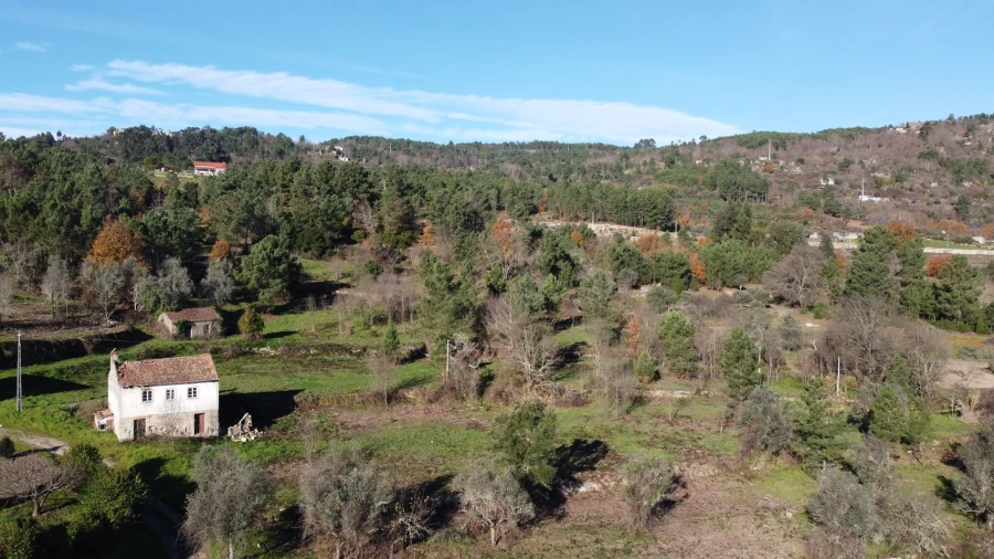 Quinta T0 para Venda em Fornos de Algodres