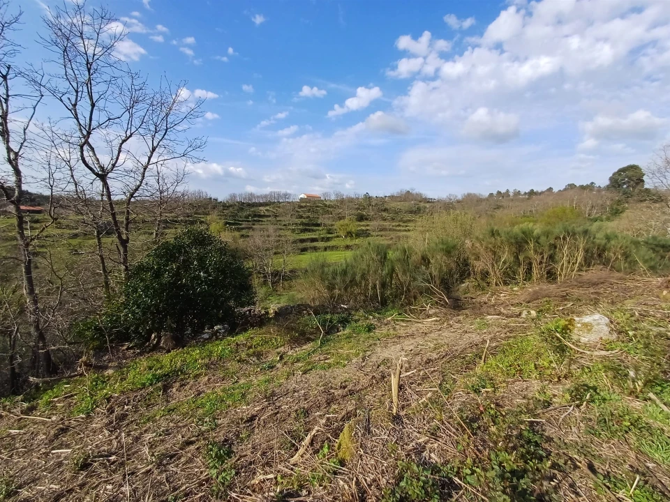 Quinta T0 para Venda em Linhares Foto 17