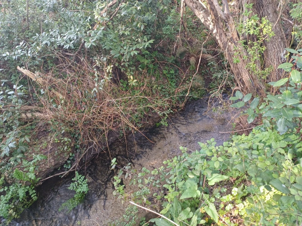 Quinta T0 para Venda em Linhares Foto 10