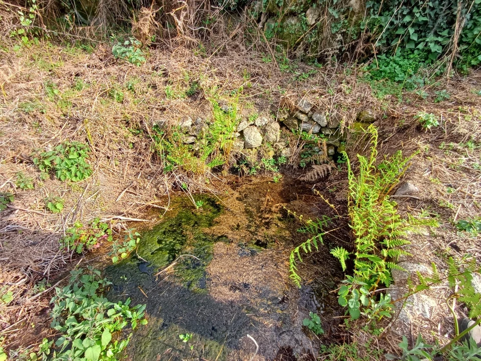 Quinta T0 para Venda em Linhares Foto 22