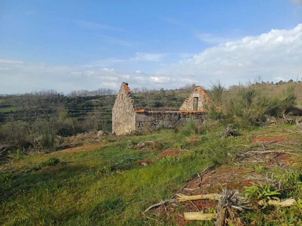 Quinta T0 para Venda em Linhares Foto 2