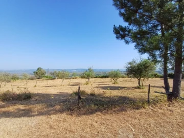 Quinta T0 para Venda em Figueiró da Serra e Freixo da Serra