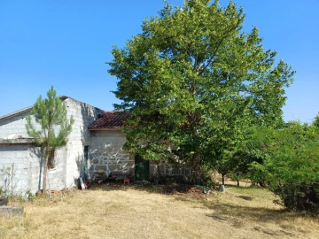 Quinta T0 para Venda em Figueiró da Serra e Freixo da Serra
