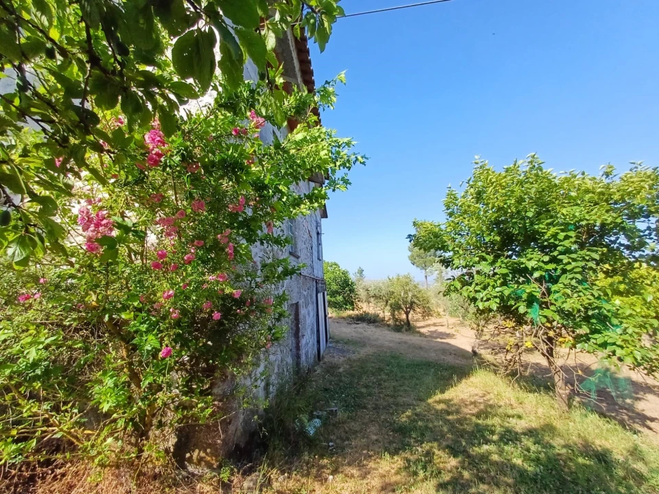 Quinta T0 para Venda em Figueiró da Serra e Freixo da Serra Foto 2