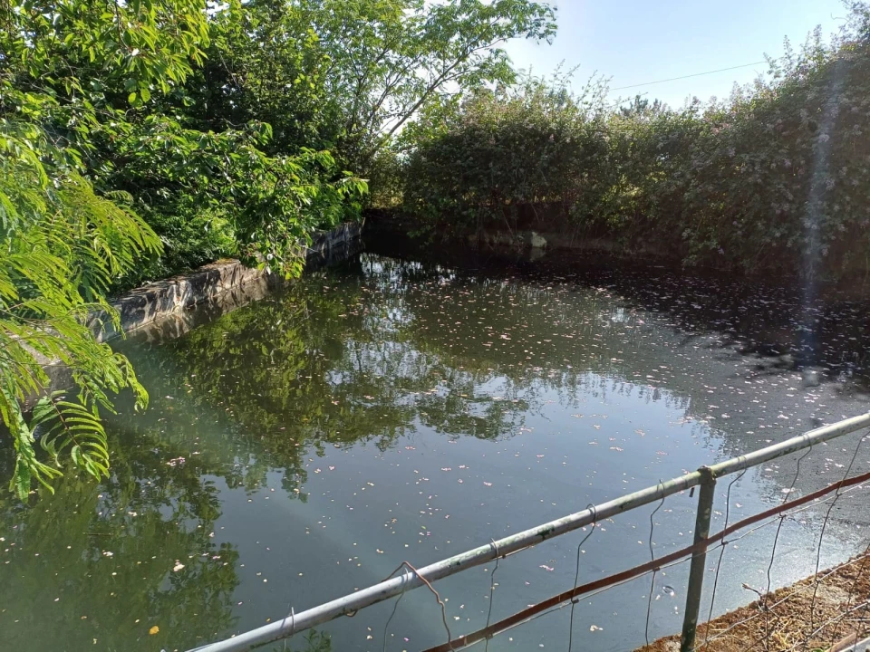 Quinta T0 para Venda em Figueiró da Serra e Freixo da Serra Foto 3