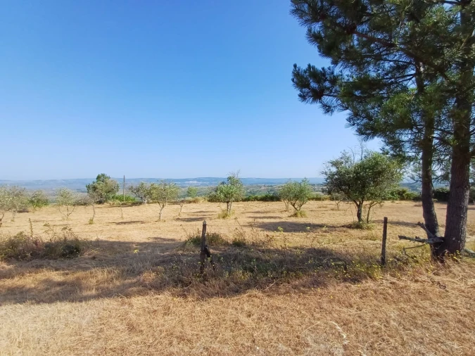 Quinta T0 para Venda em Figueiró da Serra e Freixo da Serra Foto 9