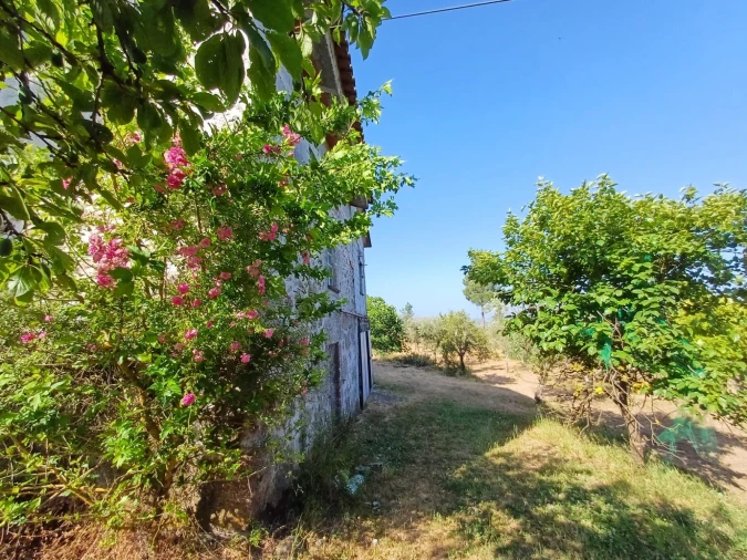 Quinta T0 para Venda em Figueiró da Serra e Freixo da Serra Foto 2