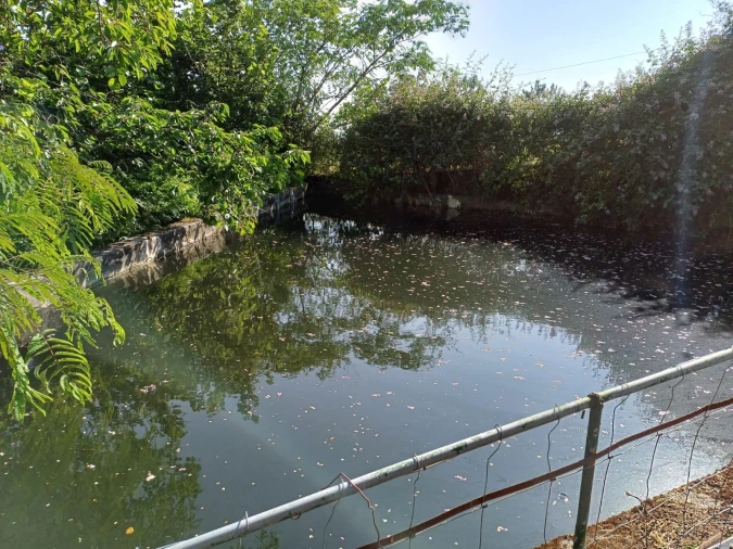 Quinta T0 para Venda em Figueiró da Serra e Freixo da Serra Foto 3