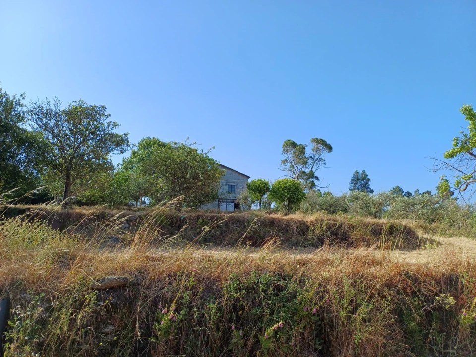 Quinta T0 para Venda em Figueiró da Serra e Freixo da Serra Foto 8