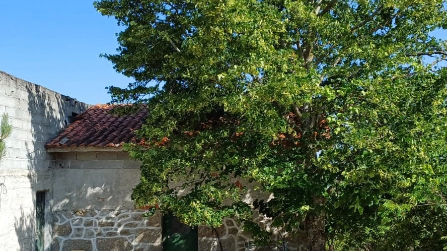Quinta T0 para Venda em Figueiró da Serra e Freixo da Serra