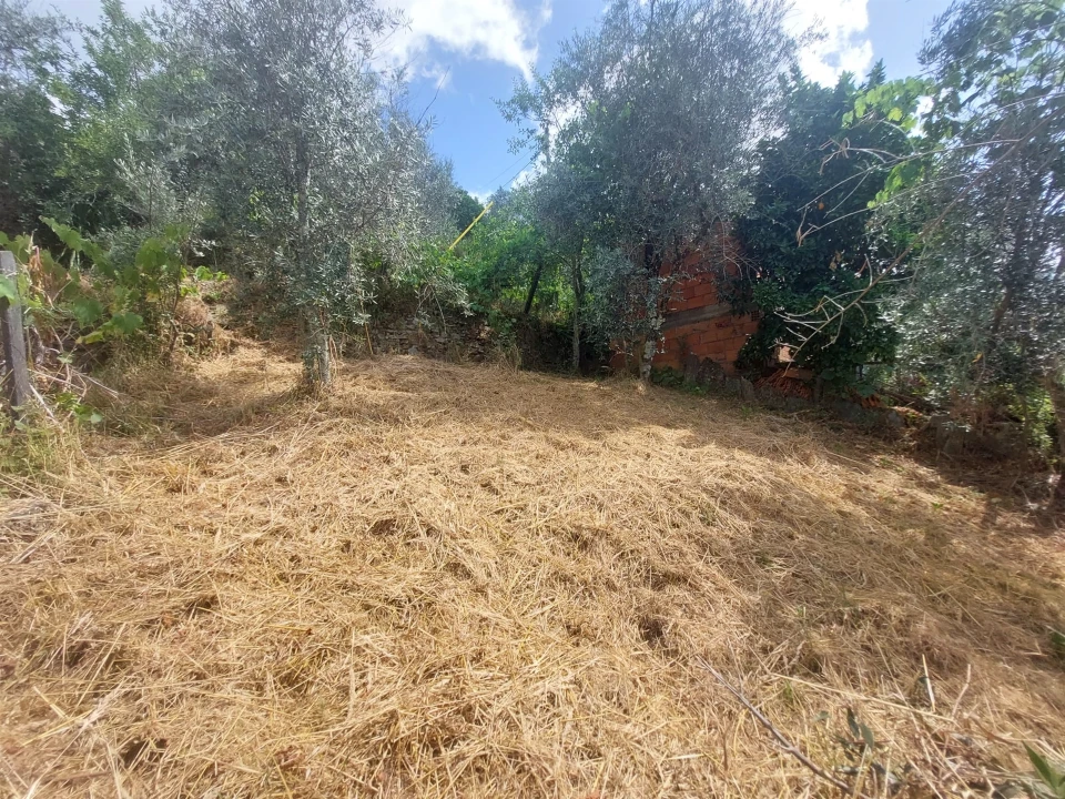 Moradia T2 para Venda em Vide e Cabeça Foto 16