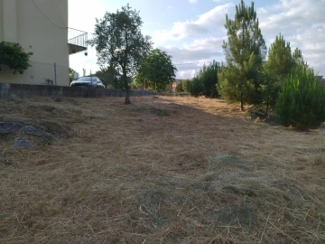 Terreno para Venda em Lagares
