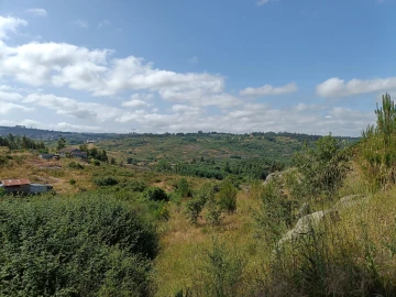 Terreno para Venda em Lagares