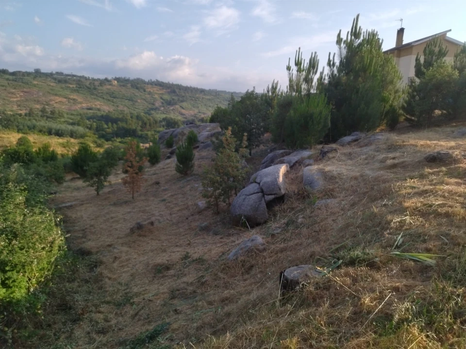 Terreno para Venda em Lagares Foto 3