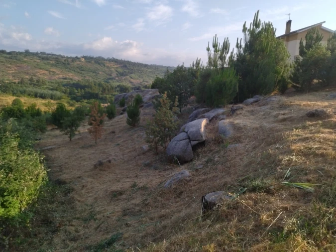 Terreno para Venda em Lagares Foto 3