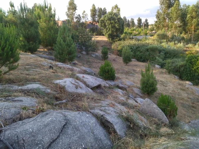Terreno para Venda em Lagares Foto 4