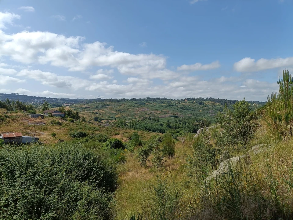 Terreno para Venda em Lagares Foto 5