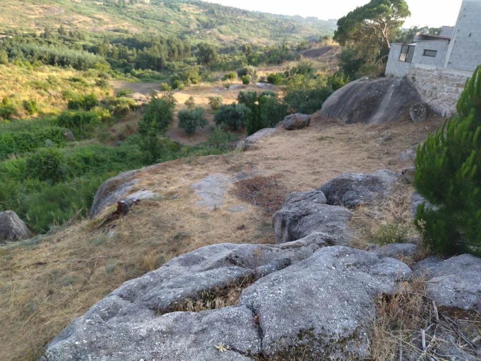 Terreno para Venda em Lagares Foto 2