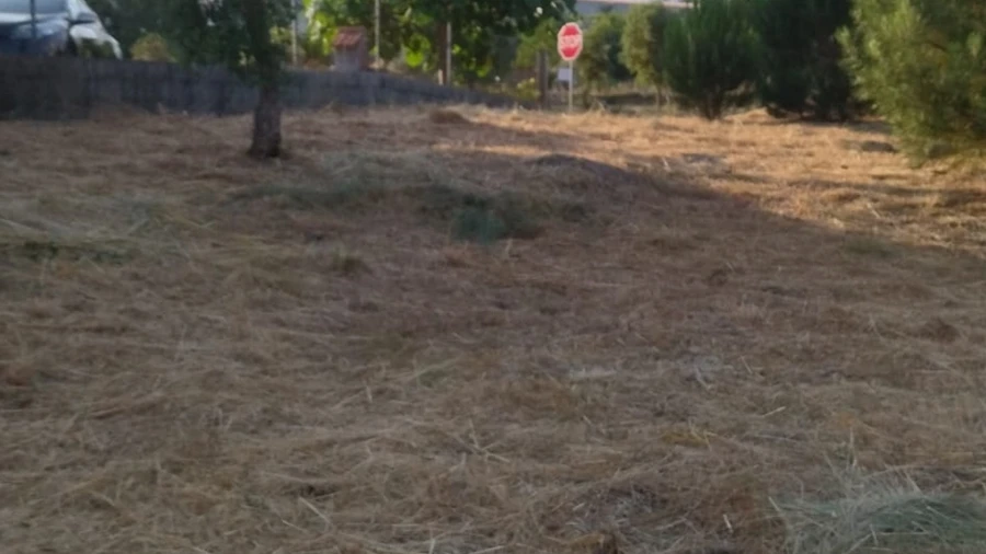 Terreno para Venda em Lagares