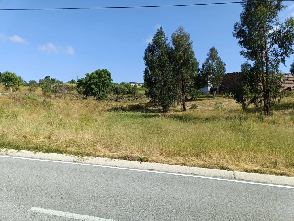 Terreno para Venda em Lagares Foto 2