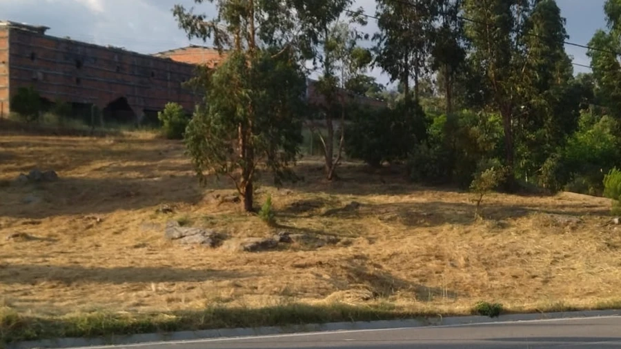 Terreno para Venda em Lagares