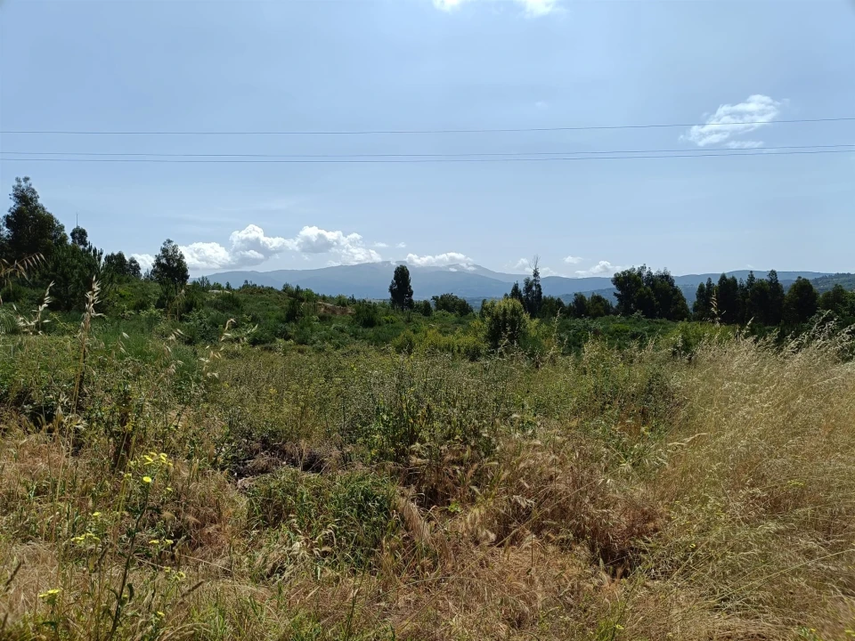 Quinta T0 para Venda em Lagares Foto 1