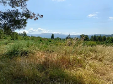 Quinta T0 para Venda em Lagares
