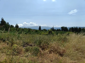 Quinta T0 para Venda em Lagares