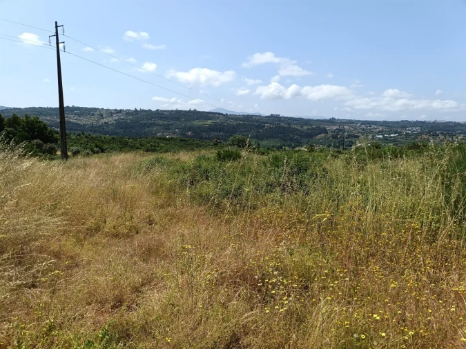 Quinta T0 para Venda em Lagares Foto 2