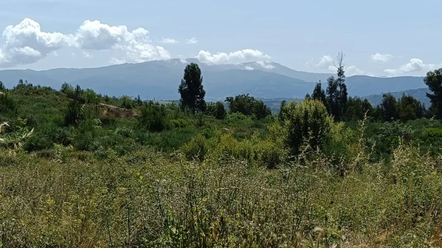 Quinta T0 para Venda em Lagares
